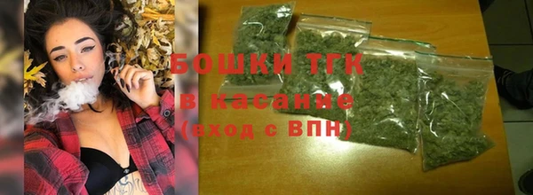 ECSTASY Богданович