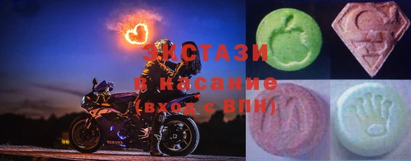 ECSTASY Богданович